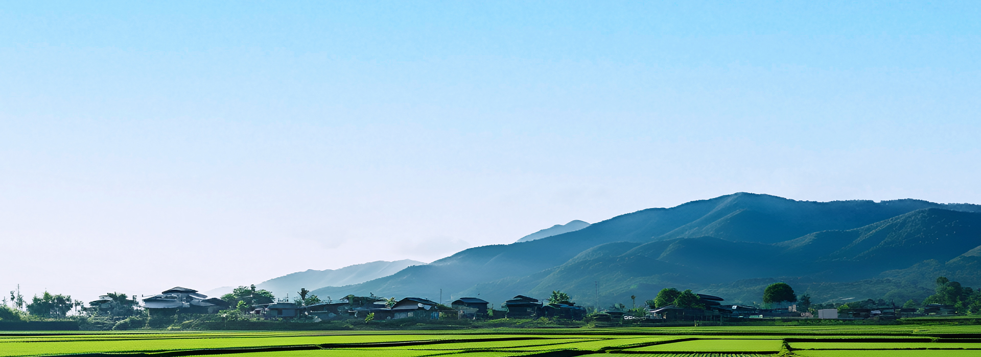 保障糧食安全、保護農業(yè)生態(tài)